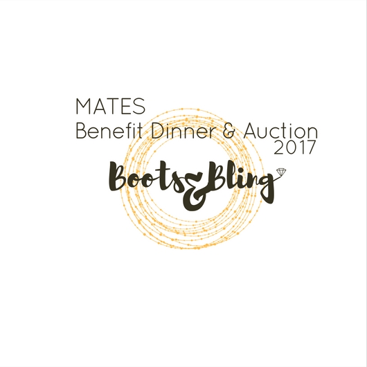 boots-and-bling-logo