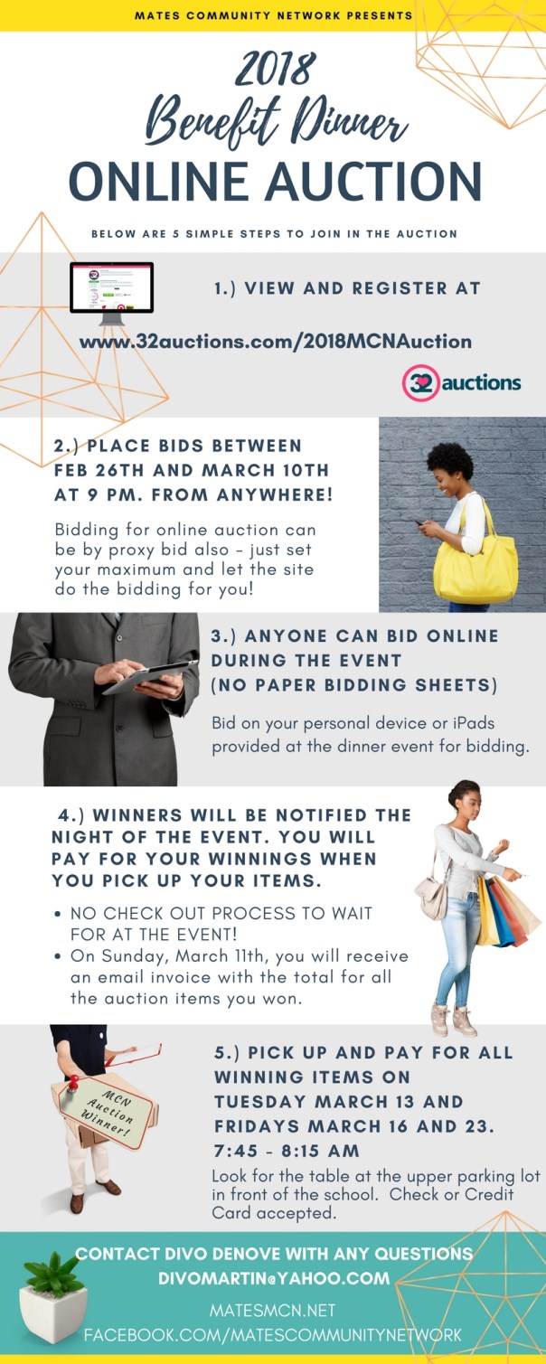 auction process info online (1)