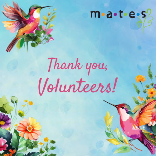MATES Volunteer Tea